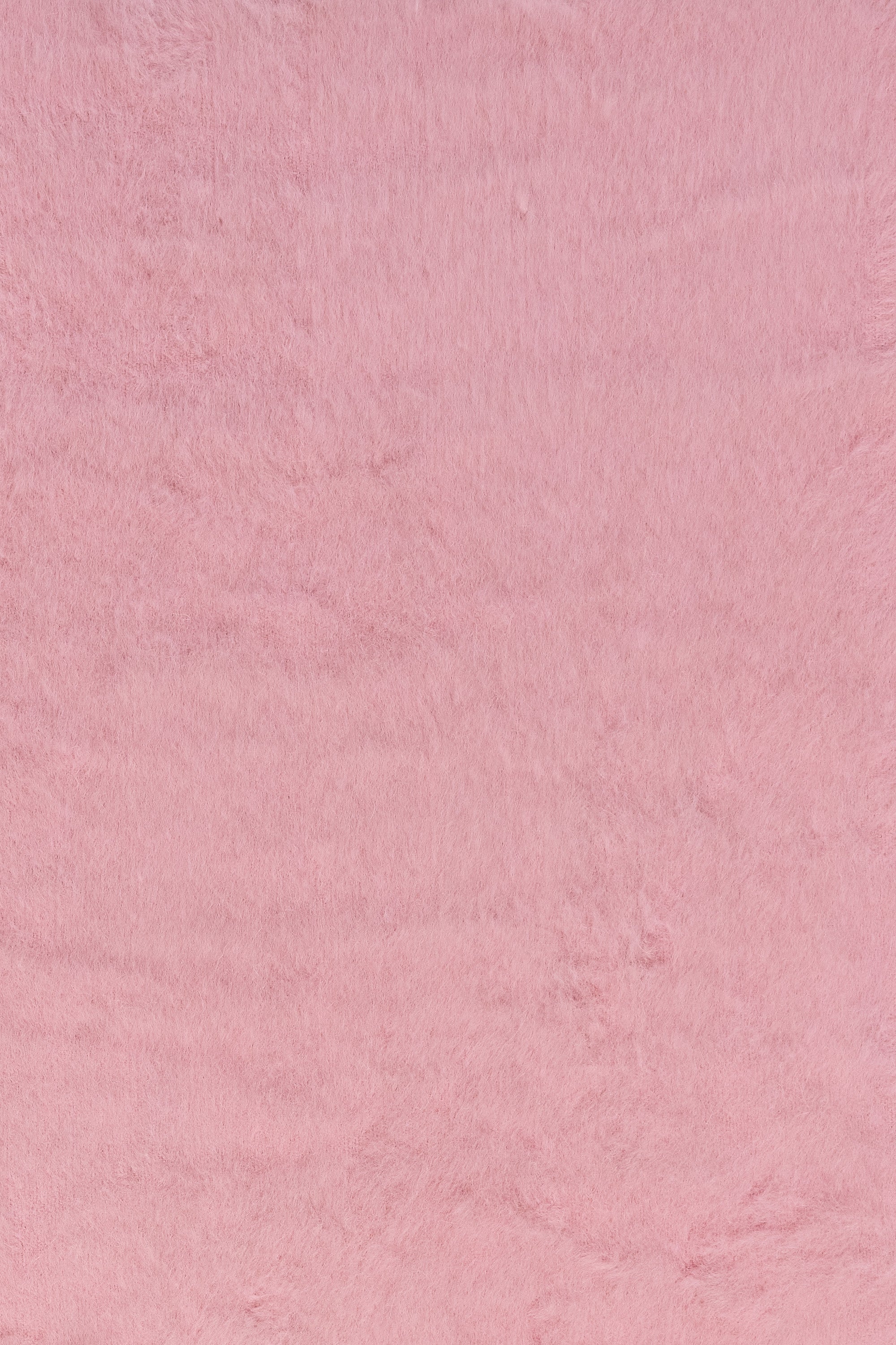 Wool Blanket