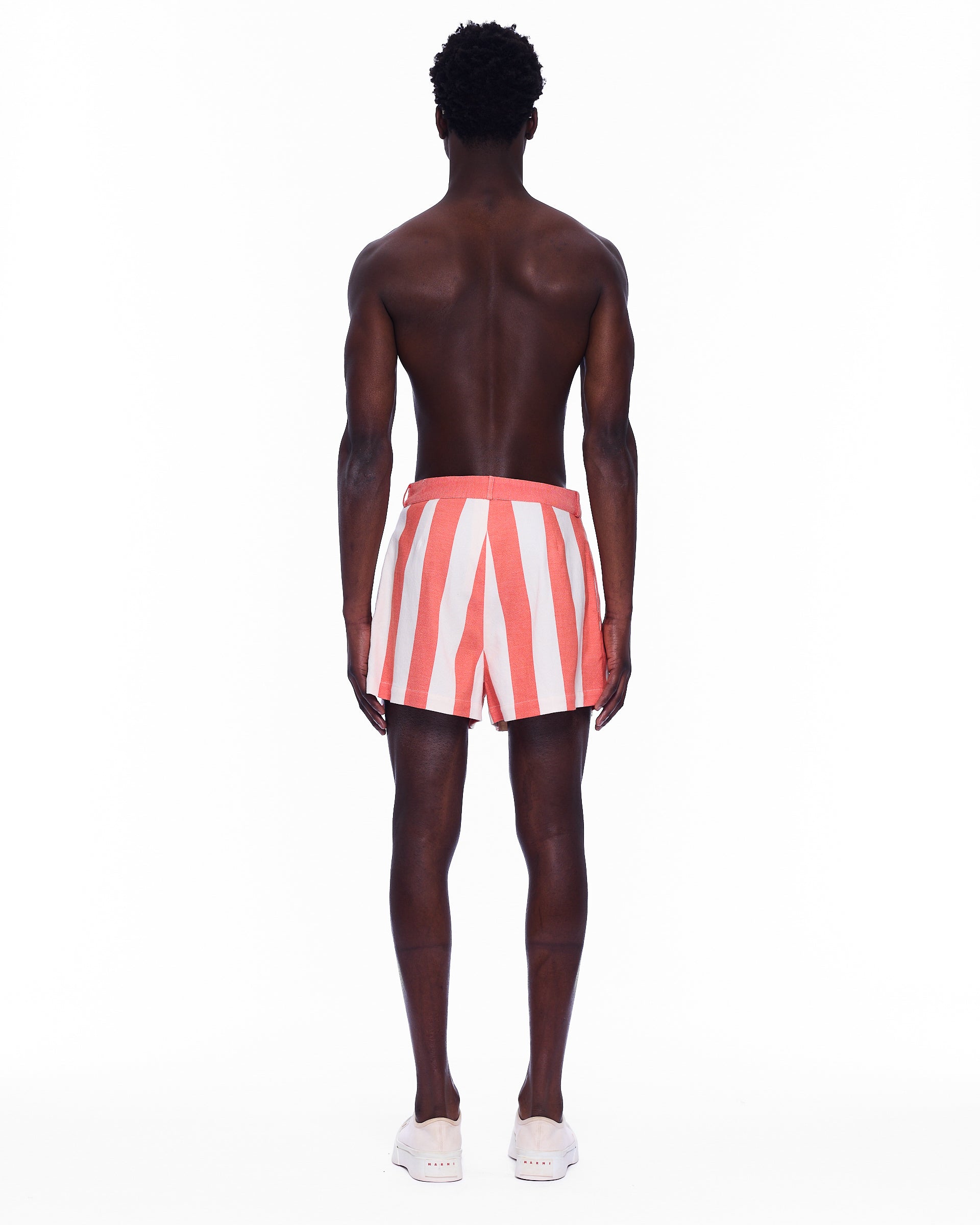 The Mid Rise Pleated Short : Stripe 11