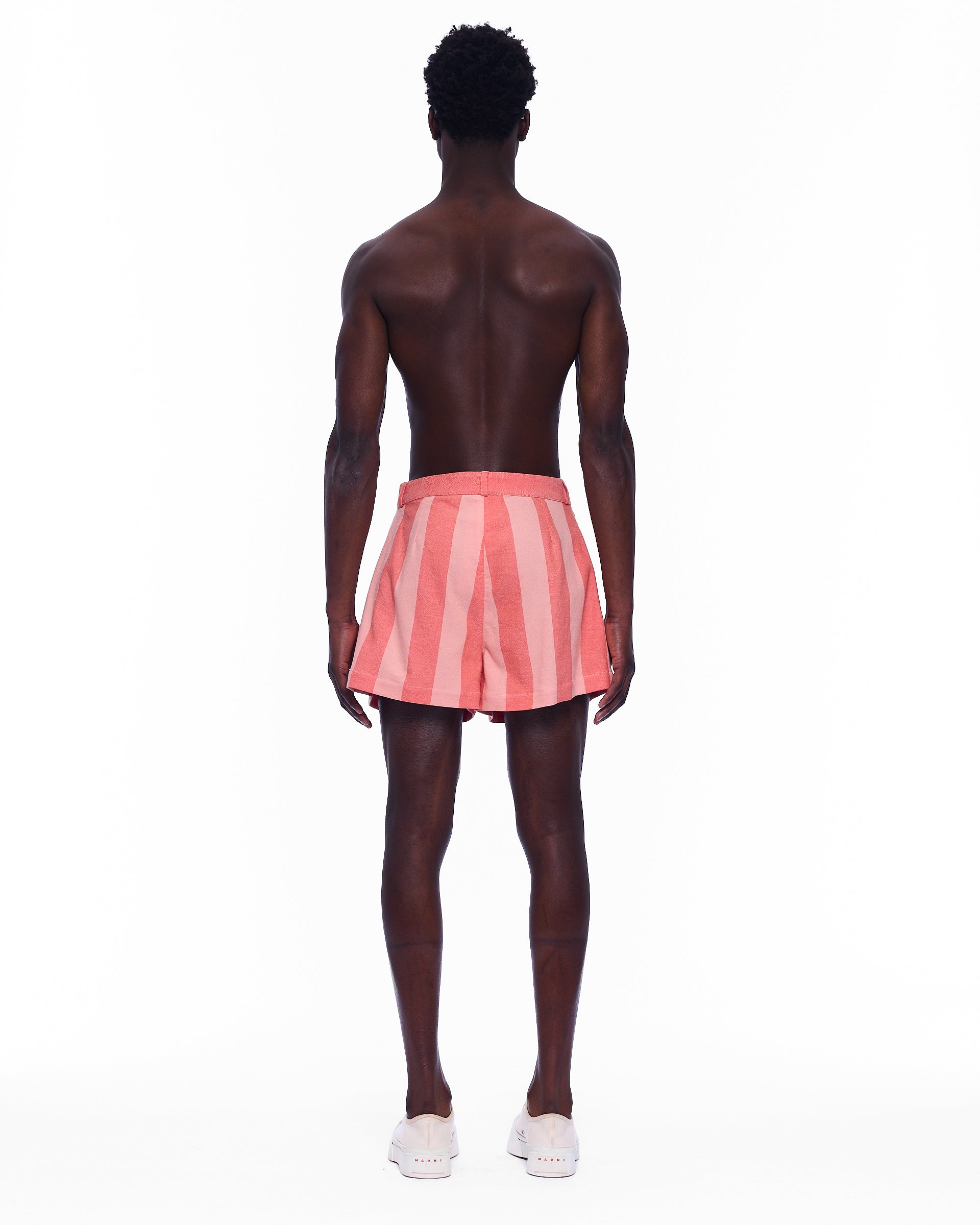 The Mid Rise Pleated Short : Stripe 10