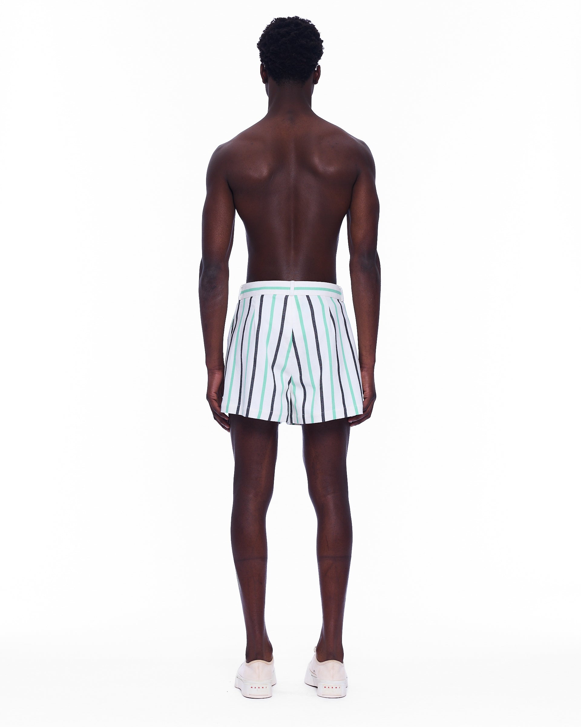 The Mid Rise Pleated Short : Stripe 6