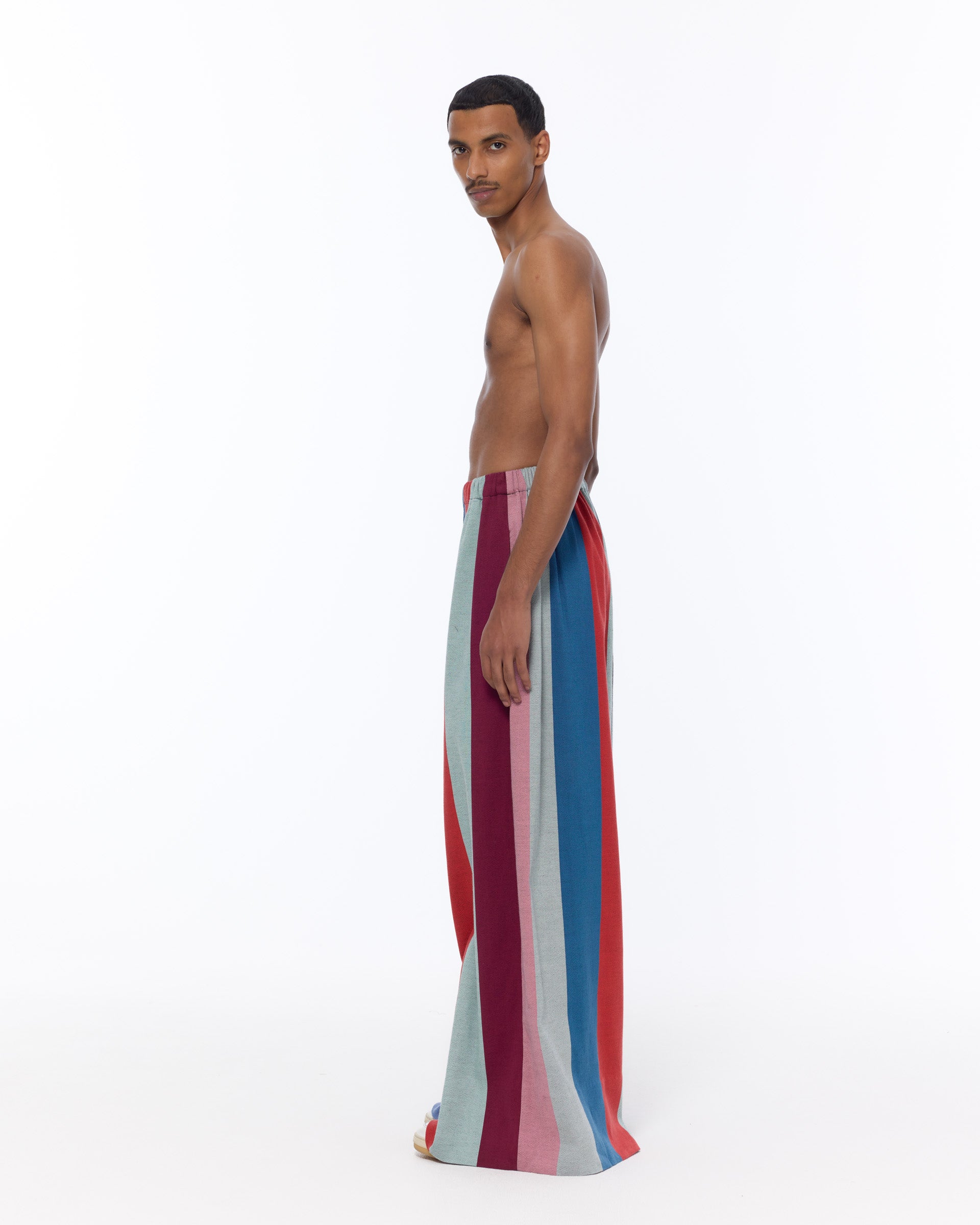 The Wide Leg Pant : Multicolor Stripe